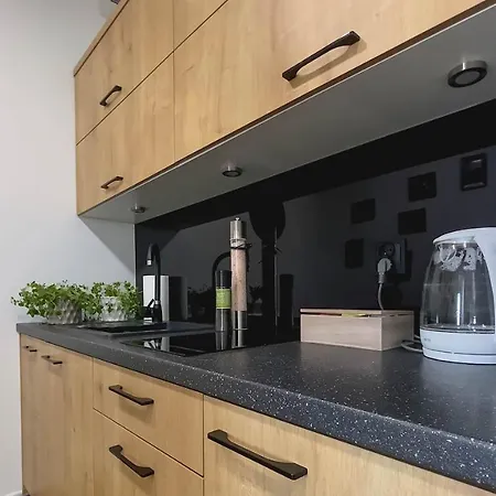 Apartment Naturalny-lake Apartments, Osiedle Calamo Park-olsztyn Olsztyn (Warmian-Masurian)